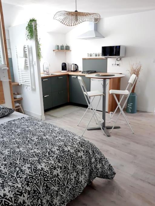 Studio Le Refuge Champ-sur-Drac Extérieur photo